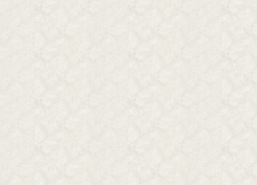 Обои Grandeco Time 2025 TI 2101